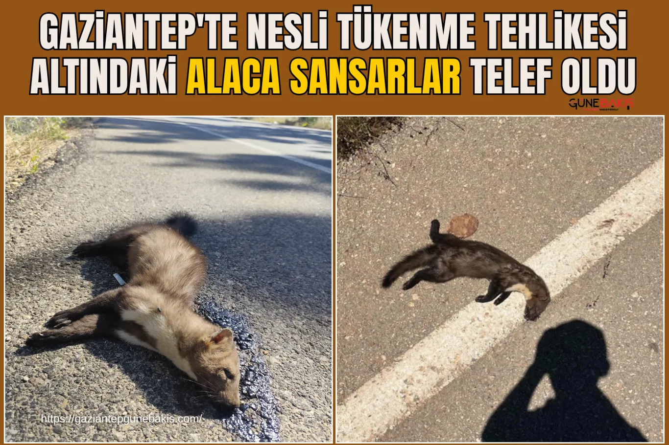 GAÜN İlahiyat Fakültesi’nde mezuniyet töreni