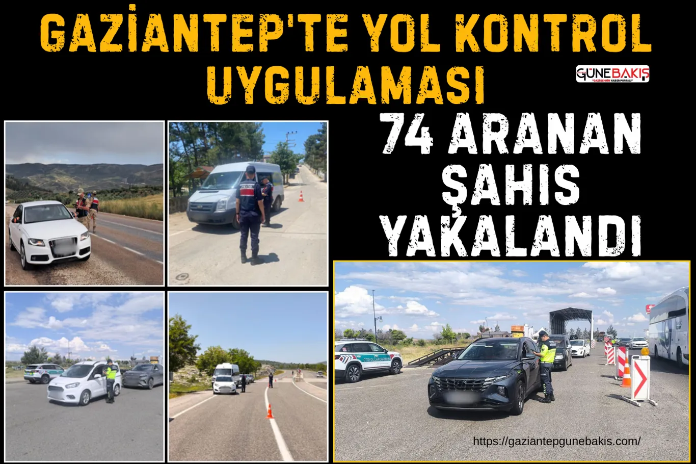 Sokak köpeği saldırıları sonrası 3 belediyeye inceleme