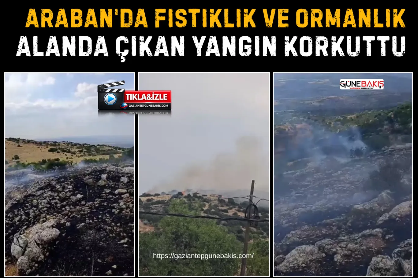 NATO Zirvesi öncesi Filistin aktivistlerine operasyon: Soykırım ortaklarının keyfi için..