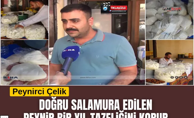 Peynirci Çelik: Doğru salamura edilen peynir bir yıl tazeliğini korur