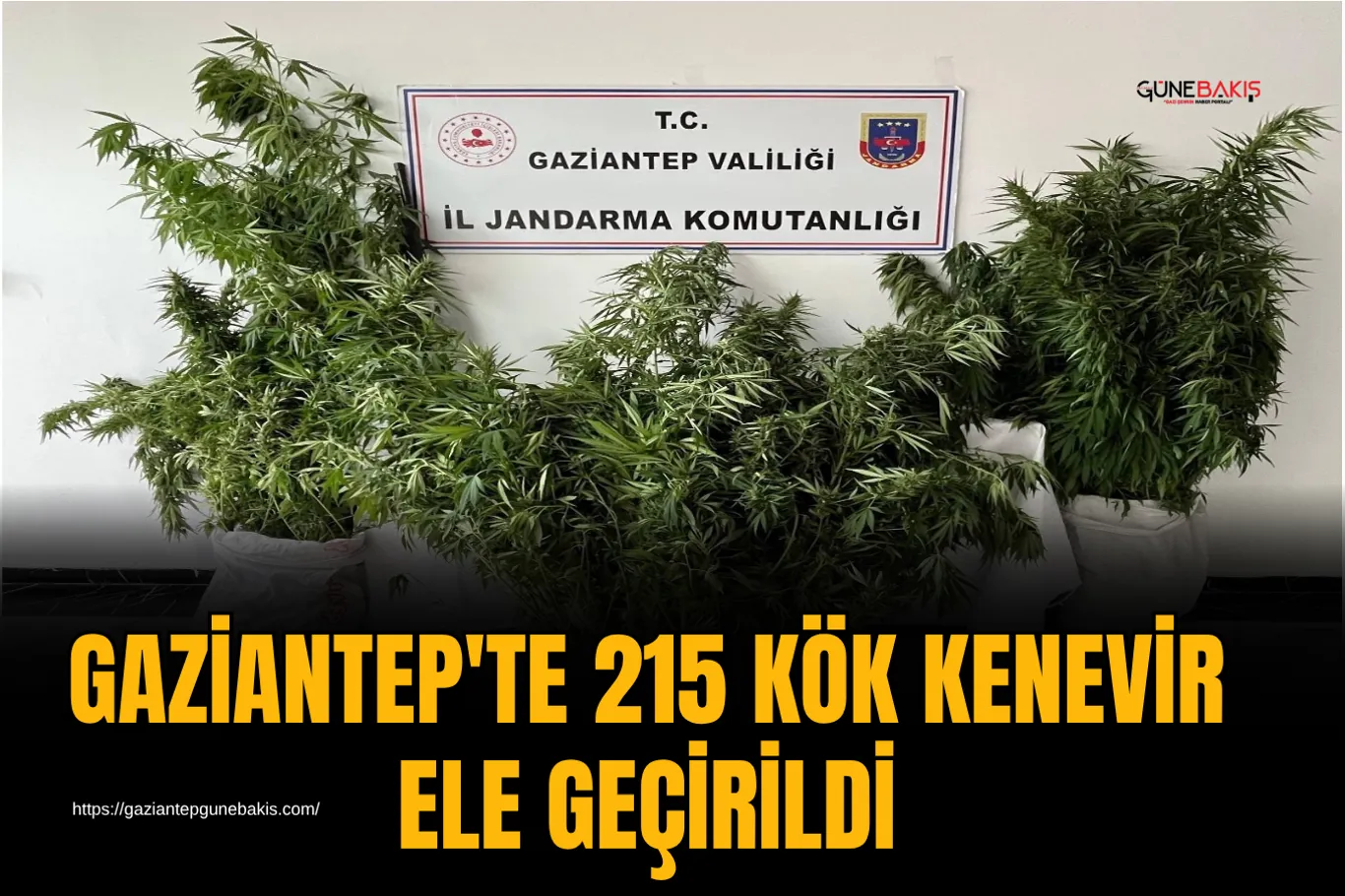 39 ilde siber suç operasyonu: 669 şüpheli yakalandı