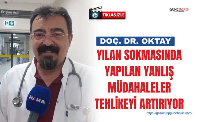 Doç. Dr. Oktay: Yılan sokmasında yapılan yanlış müdahaleler tehlikeyi artırıyor
