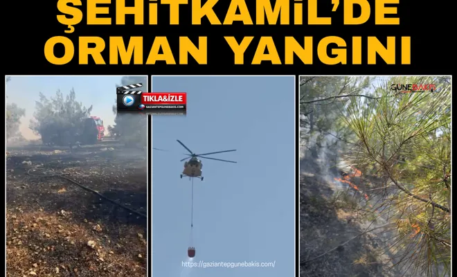 Şehitkamil’de orman yangını