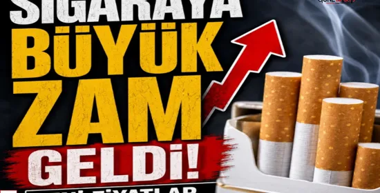 Nizip’te 7 ayda 245 milyon doları aşan ihracat