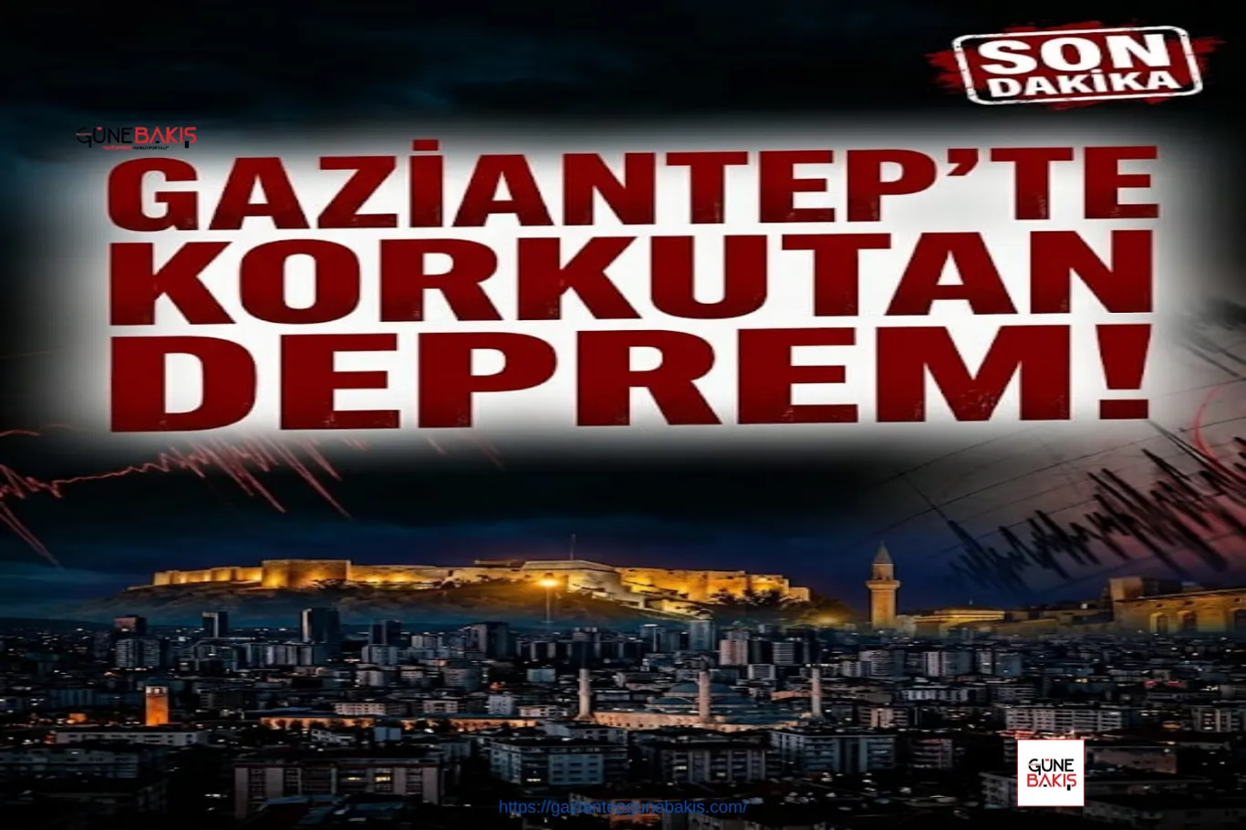 Gaziantep’te silah ve tarihi eser operasyonu: 1 şüpheli yakalandı