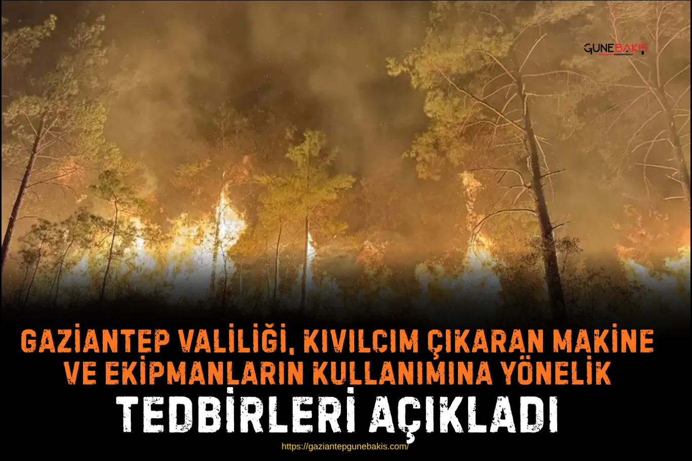 Gaziantep’te 17 yıl 6 ay kesinleşmiş hapis cezası bulunan şahıs yakalandı