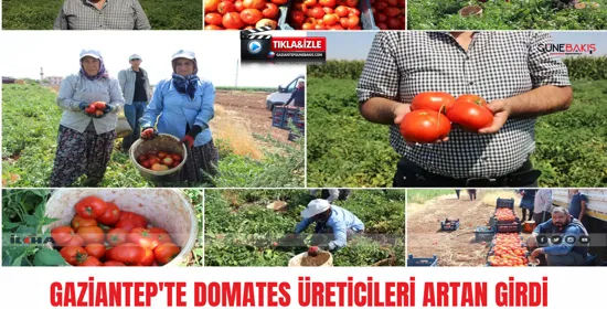 Gaziantep'te "Üreticiden Tüketiciye Tarla Fiyatına" projesi