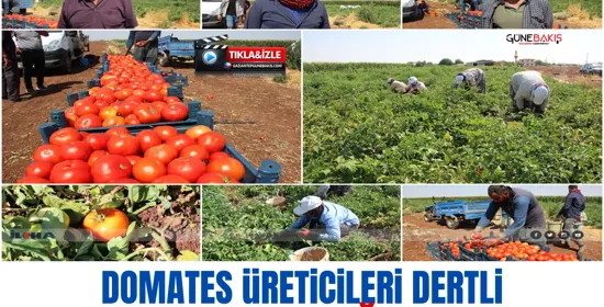 Motorine 2,92 lira zam geldi