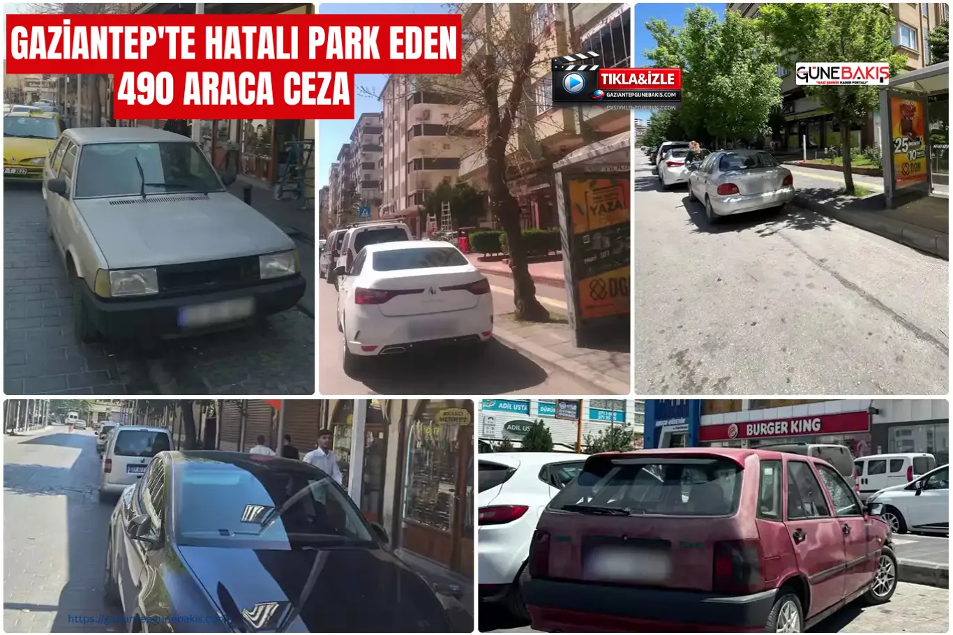 Gaziantep'te kenevir ekimi yapan 9 şüpheli yakalandı
