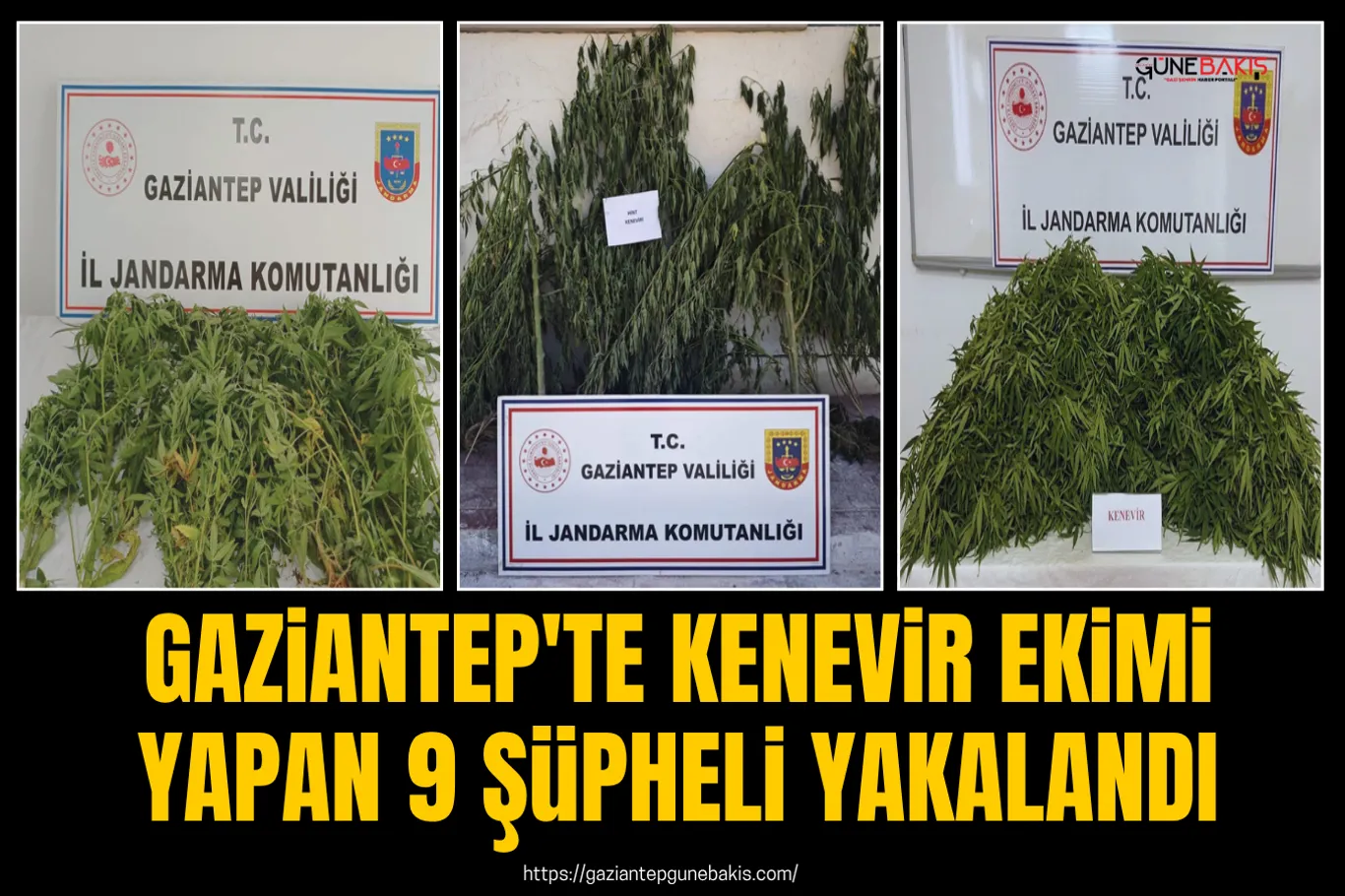 Yerli kalp-akciğer makinesi Gaziantep'te açık kalp ameliyatlarında kullanıldı