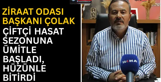 Fıstık hasadı başladı, üretici fiyat ve rekolte endişesi yaşıyor