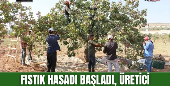 Kamu borçlarında yapılandırma için son gün