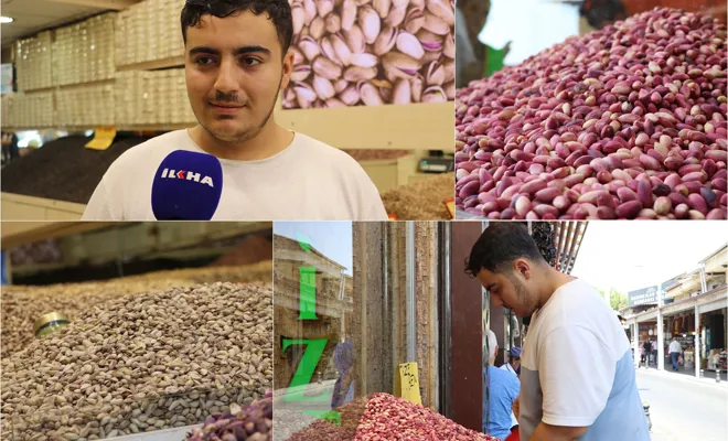 Esnafından Antep fıstığının iyisini anlamanın püf noktaları