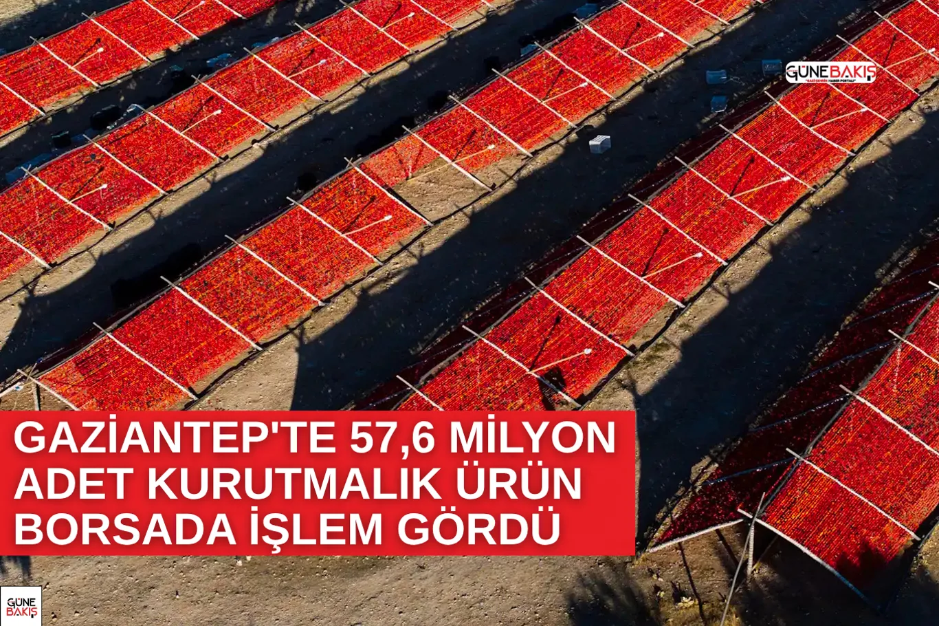 Çiftçilere destek ödemesi bugün aktarılacak!