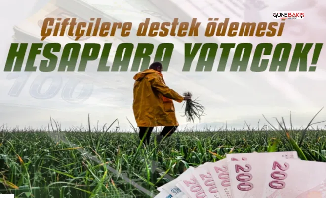 Çiftçilere destek ödemesi bugün aktarılacak!