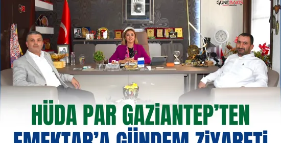 Mehmet Sait Kılıç mazbatasını aldı