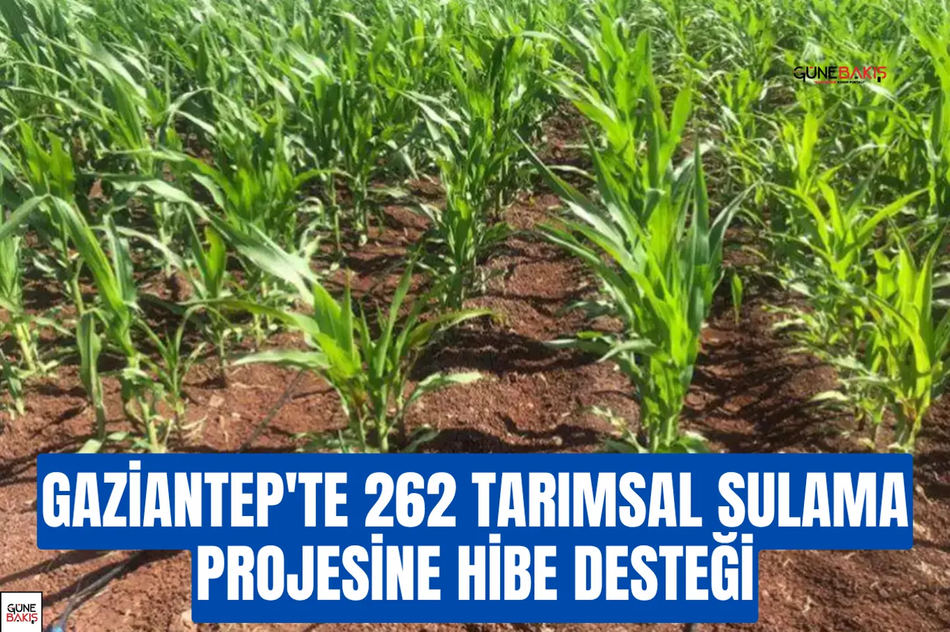 Üniversite yolculuğuna ilk bilet Şehitkamil’den