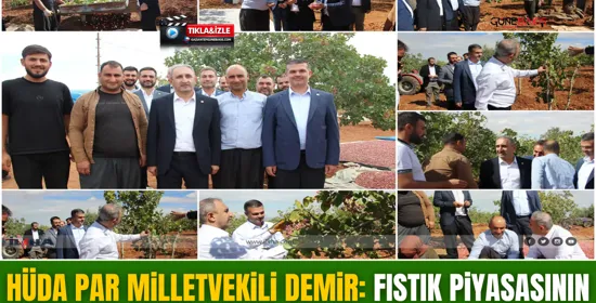 HÜDA PAR Milletvekili Demir: Verimli topraklarımız sahipsiz bırakılıyor