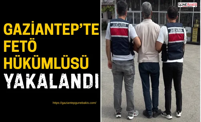 Gaziantep’te FETÖ hükümlüsü yakalandı