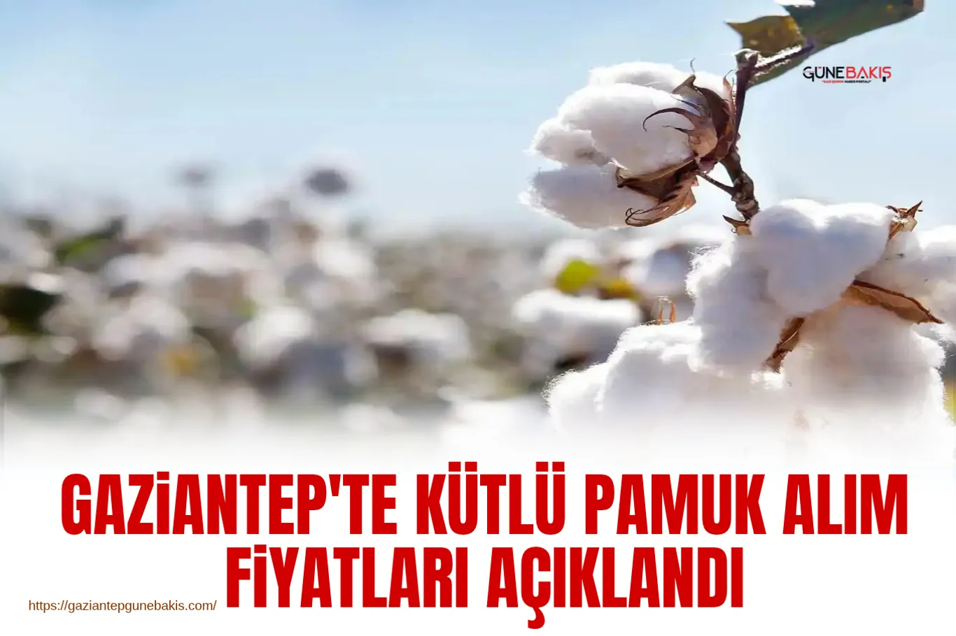 KPSS Ön Lisans sonuçları açıklandı